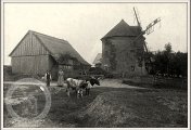 Pohlednice s mlýnem, neznámý, 1900