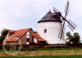 Lesná restaurace