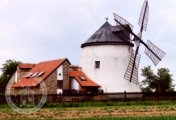 Lesná restaurace, Doubek Jan, 2000