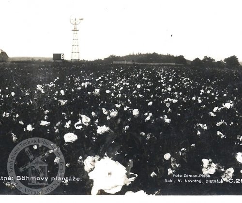 Větrný mlýn Blatná